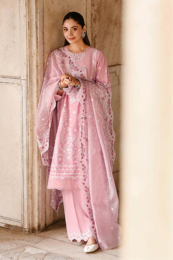 EID Lawn: D28