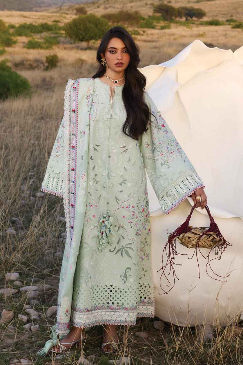 SUFFUSE LAWN SEROLI