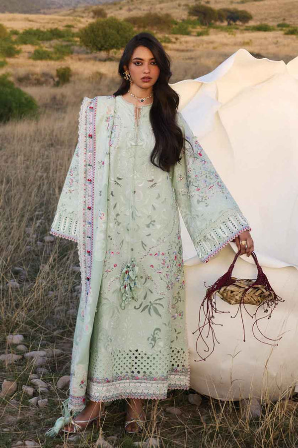 SUFFUSE LAWN SEROLI